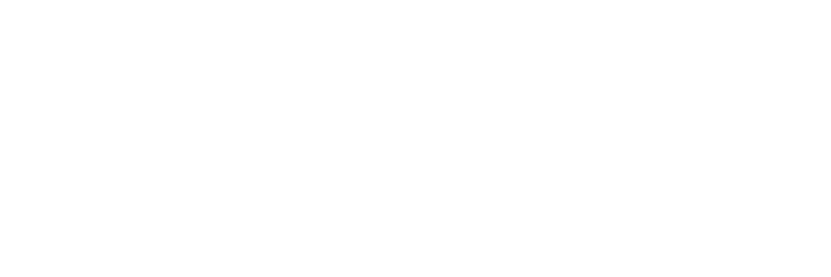 Technical University of Dresden